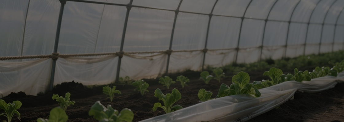 Chemikalien für den täglichen Gebrauch